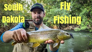 Flyfishing Trout in the Black Hills Rapid Creek Rapid City South Dakota [upl. by Niamert]