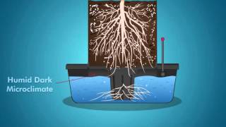 Octopot Soil Hydro Hybrid Grow Systems  Better than DWC Systems or Ebb and Flow Growing Systems [upl. by Magocsi]