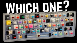 How to Choose the Perfect Switch For YOU [upl. by Laud381]