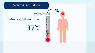 Die Körpertemperatur Wärmeregulation [upl. by Boris]