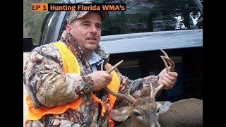 Hunting Florida Wildlife Management Areas EP1 WMAs [upl. by Lionello893]