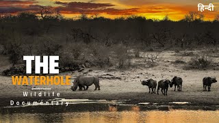 Wildlife documentary in hindi  The WaterHole  Wild Animals in Africa हिन्दी डॉक्यूमेंट्री [upl. by Schnapp]