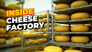 HOW CHEESE IS MADE – World Known Factories [upl. by Annoif]