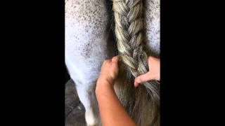 How to French Braid Horse Tail  Basic [upl. by Ydne]