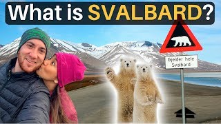 What is SVALBARD More Polar Bears than People [upl. by Sera280]