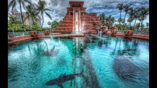 LEAP OF FAITH HD POV Atlantis Water Slide  Bahamas [upl. by Spear]