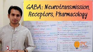 GABA Pharmacology Neurotransmission Receptors and Pharmacology  GABA Receptor Pharmacology [upl. by Court]