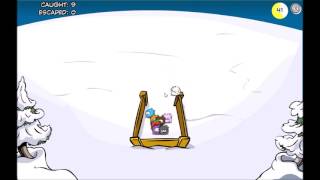 Club Penguin Puffle Roundup Gameplay [upl. by Eelyam197]