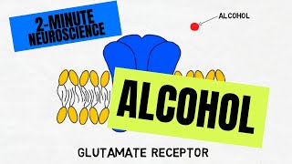 2Minute Neuroscience Alcohol [upl. by Glantz]