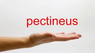 How to Pronounce pectineus  American English [upl. by Lorna]