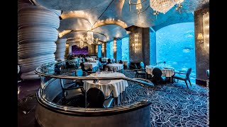 Underwater Dining on The Palm  Dubai Vlog Part 3 [upl. by Nilkoorb836]