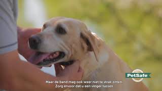 PetSafe® Training op afstand  De halsband juist aanleggen [upl. by Vocaay688]