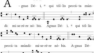 Agnus Dei Missa XVII for Advent  Gregorian Chant [upl. by Stearne417]