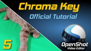 Chroma Key  OpenShot Video Editor Tutorial [upl. by Yelha210]