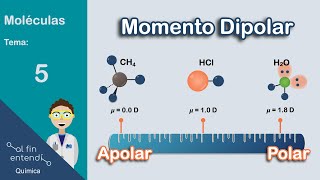 ¿Cómo determinar la POLARIDAD de las moléculas [upl. by Alleuqahs]