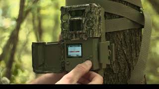 Bushnell Core DS No Glow and Low Glow Trail Cameras [upl. by Ngo467]