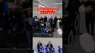 Teddy Bear Toss Goal 🧸🏒 hockey [upl. by Nwaf]