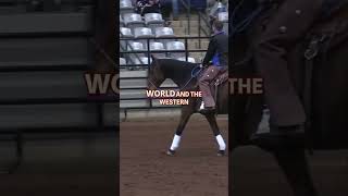 Horsemanship amp Dressage English vs Western [upl. by Arekahs635]