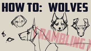 How to draw wolves basics me rambling [upl. by Bj]