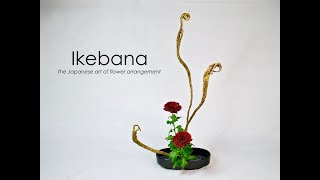 Ikebana Howto the Taterukatachi stepbystep [upl. by Corty716]