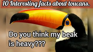 10 Interesting facts about Toucans [upl. by Lotus469]