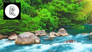 Relaxing Nature Sounds  Water Sound 24 Hours Gentle River amp Stream [upl. by Wemolohtrab575]