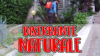 DISERBANTE NATURALE FAI DA TE COSTA 1 EURO [upl. by Acsirp]