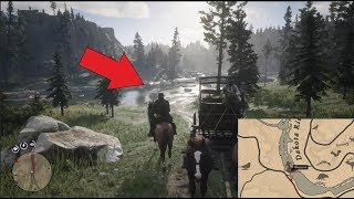 Red Dead Redemption 2 Cardinal Location [upl. by Grace]