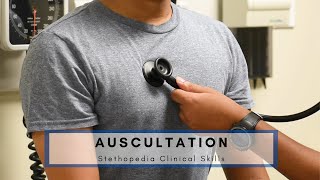 Basic Auscultation Technique  Stethopedia [upl. by Chrysa]