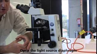 Introduction to the Compound Microscope [upl. by Aicert]