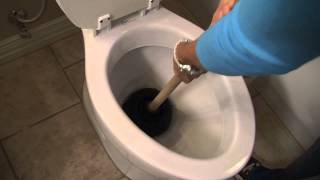 How to Unclog a Toilet  Tips from Mr Rooter Plumbing [upl. by Debarath970]