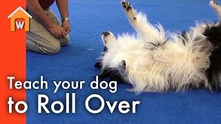 Teach Your Dog to Roll Over [upl. by Anawot]