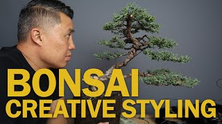 Juniper Bonsai Styling  Working with Average Material [upl. by Hafeenah36]