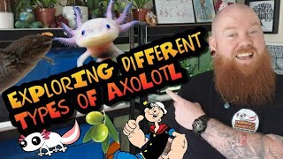 EXPLORING DIFFERENT TYPES OF AXOLOTL [upl. by Normand]