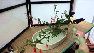 Ikebana in 10 minutes Part 2 [upl. by Elinor116]