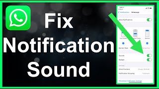 How To Fix WhatsApp Notification Sound EASY [upl. by Maher766]