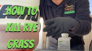 How to Kill Perennial Rye Grass  Bermuda Lawn Care [upl. by Oirramaj]