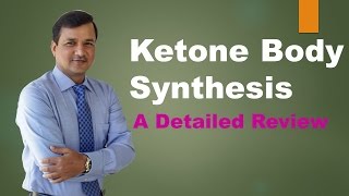 Ketogenesis Ketone Body Synthesis [upl. by Seluj]