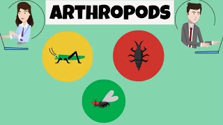 Characteristics of Arthropods [upl. by Yann]