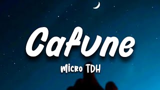 CAFUNE  MICRO TDH LetraLYRICS [upl. by Conger121]