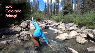 The TOP 10 fishing spots in Colorado  McFly Angler Fly Fishing [upl. by Helli]