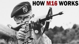 How M16 Rifle Works  XM16E1  US Army Training Film  1966 [upl. by Pfosi615]