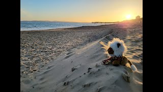 Boscombe Pier Sunset Drone View [upl. by Enilorak890]