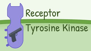 Receptor Tyrosine Kinase  MAPK Pathway [upl. by Ayet]