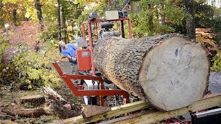 Massive Tree to Quarter Sawn Wood Using a Portable Bandsaw Mill [upl. by Orabel]