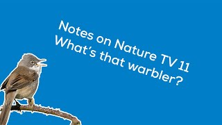 Notes on Nature TV 11 Beginners guide to warblers [upl. by Esoj]