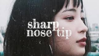 sharp nose tip  subliminal [upl. by Gretta]