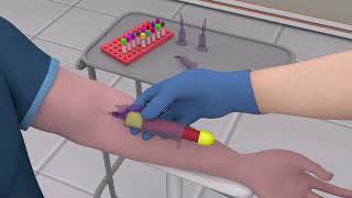 Online Phlebotomy Training Program [upl. by Udella]