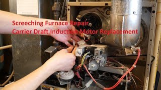 Screeching Furnace Repair  Carrier Draft Inducer Motor Replacement in 4K [upl. by Garbe]