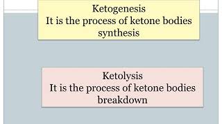 Ketone bodies metabolism [upl. by Carothers603]